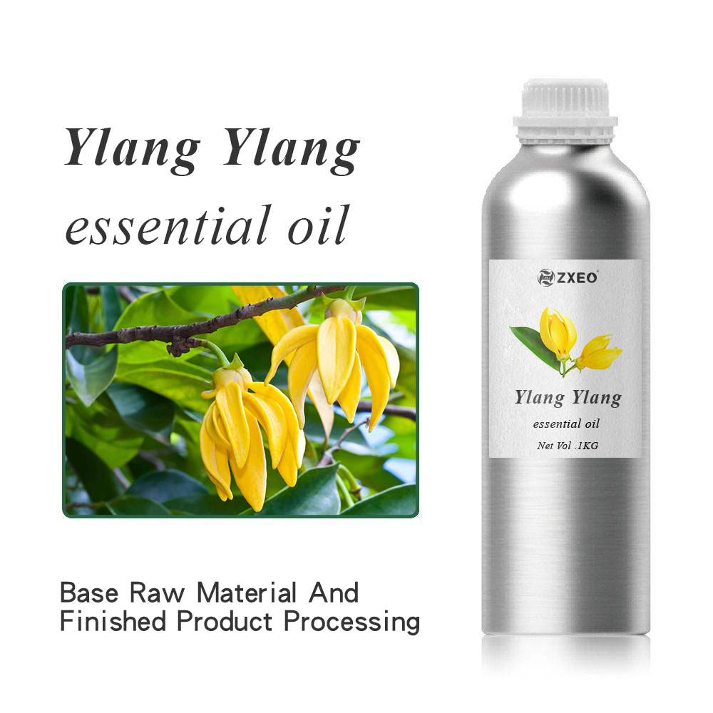 100% Pure Essential Oil Export in Bulk can be Customized Label Wholesale Ylang Ylang Essential Oil Cosmetics Aromatherapy