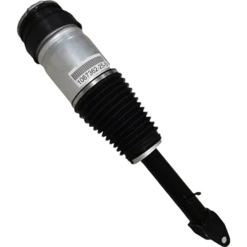 Air Suspension Shock Absorber Strut for Tesla Model S Front RWD 85 P85+