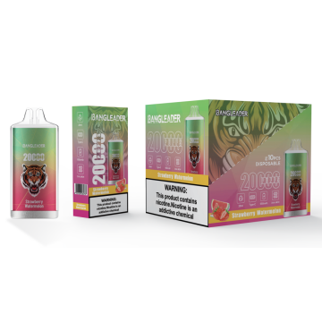BANG LEADER 20K Puffs Vape Wholesale Spain