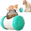 improve intellgence toy for cat