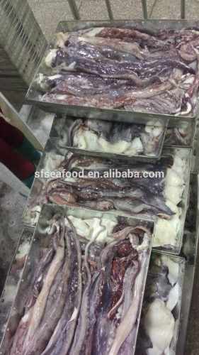 Squid Tentacle/squid Strip, High Quality Squid Tentacle/squid Strip on ...