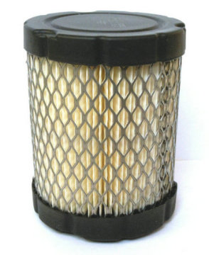 Air Filter BRIGGS and STRATTON 796032