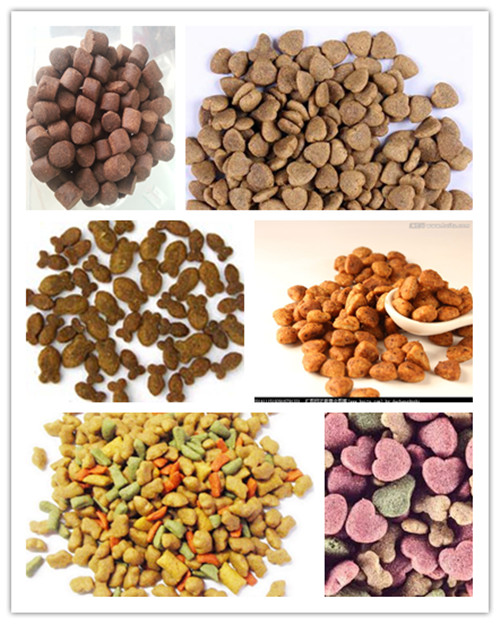 pet food sample