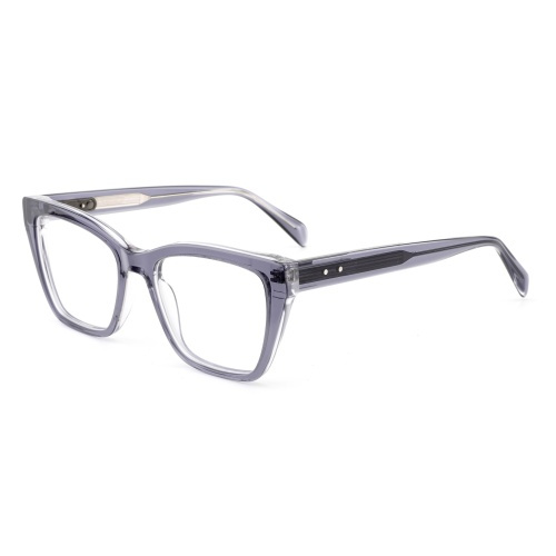 Translucent Acetate Fashion Glasses