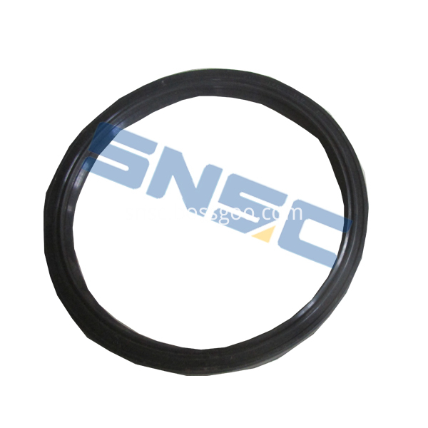 Front Wheel Oil Seal Assembly 3001114 1