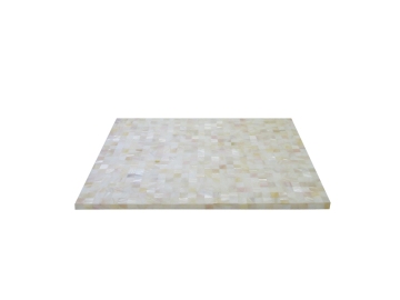 Eco Friendly River Shell Placemat for Star Hotels