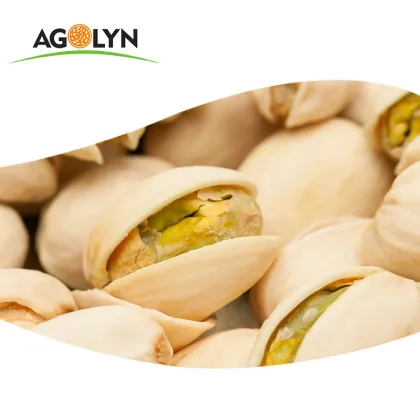 Quality Pistachio Dried Pistachio Nuts With Salt pistachio