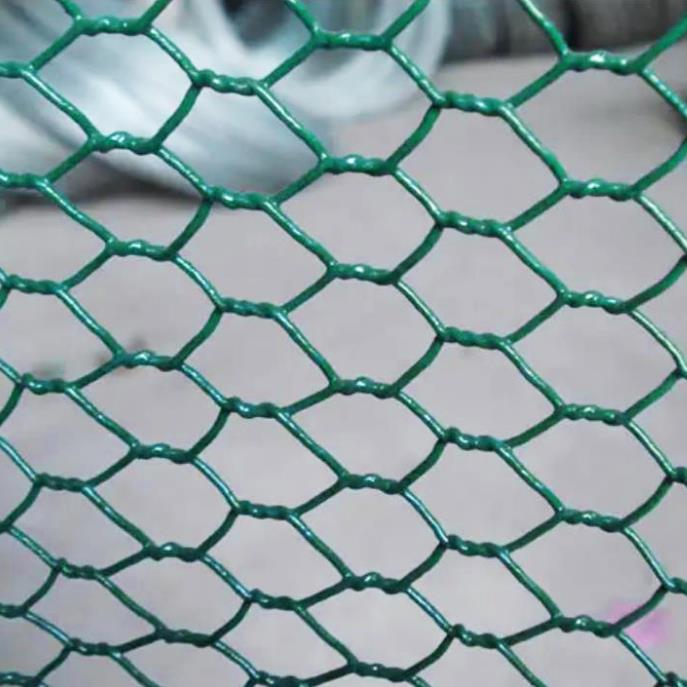 PVC Coated Chain Link Fence