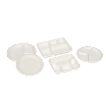 Biodegradable Bagasse Food Container Paper Pulp Plates Make Baggase Plates Food Tray