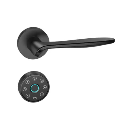 Easy Installation Smart Door Lock