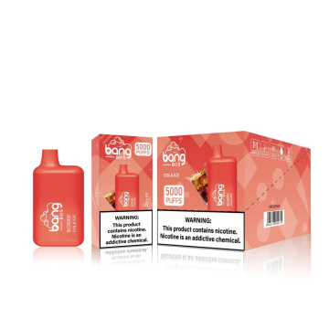 Disposable Rechargeable Vape BANG BOX BC 5000