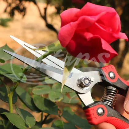 High Quality Garden Pruners and Shears: Essential Supplies for Gardening Enthusiasts