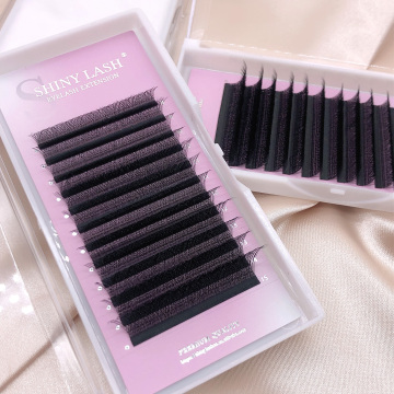 Triple Tips W Shape Volume Eyelash Extensions 7-15mm C/D 3D Clover Lashes