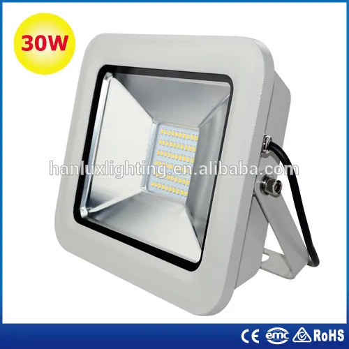 30W 85-265V SMD2835 IP67 2550lm LED Floodlight