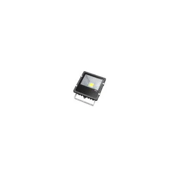 COB 30W LED Flood lighting