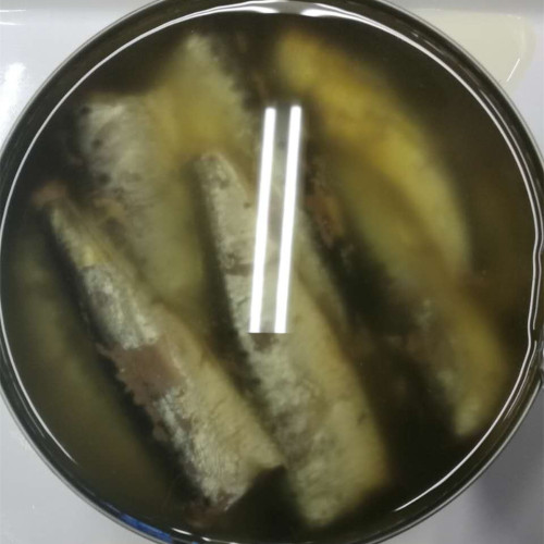 900G Canned Sardines In Vegetable Oil