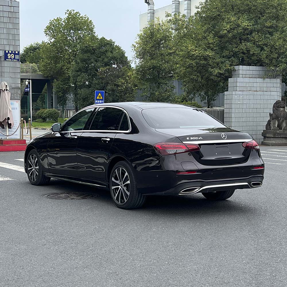 Benz E350 e L (4)