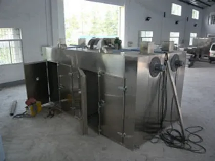 Hot Air Circulation Drying Oven for Mango