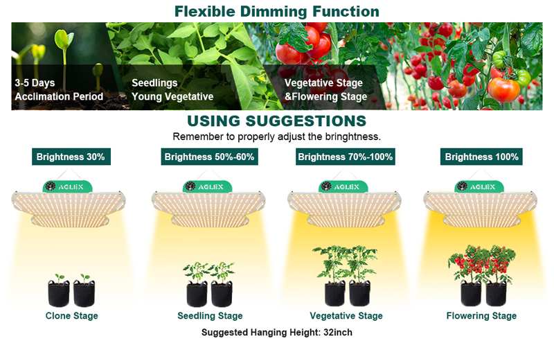 high ppfd led grow light