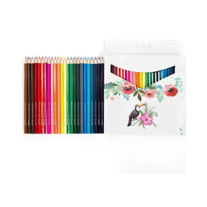 Vibrant Color Colored Pencils for Art and Sketching