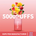 OEM Lable pessoal elfbar BC5000 Vape descartável