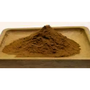 Natural Semen Torreyae Extract Powder