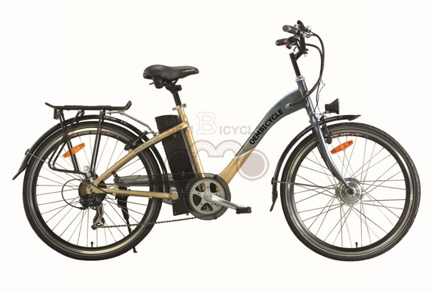 e bike01