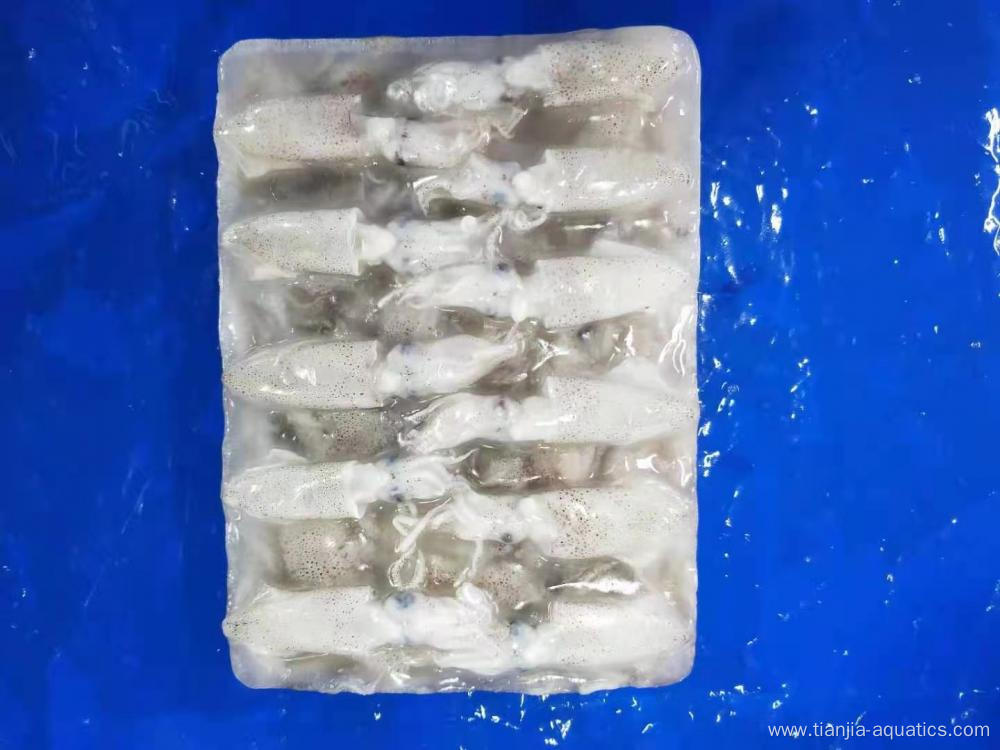 Hot sale Top class baby squid Loligo Japonica