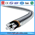 Cable de aislamiento aislado XLPE de aleación de aluminio de 600 V