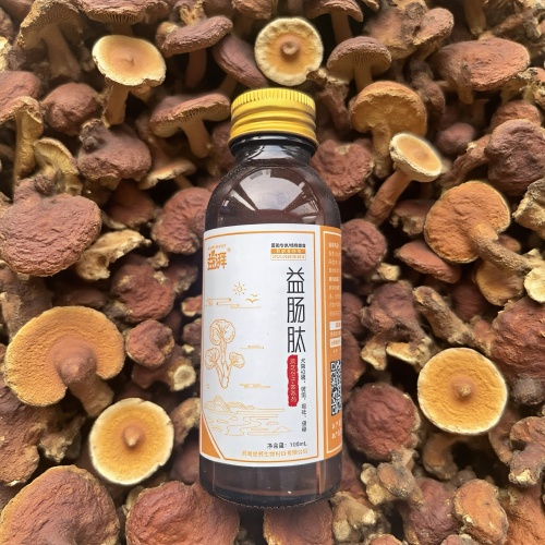 Köpek ve Kedilerde Akut ve Kronik İshal İçin Beslenme Çözümü