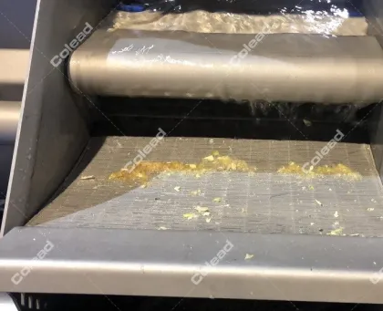 Fresh Cut Vegetable Washing Machine for processing line