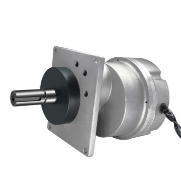 Large Brushless Motor | Brushless DC Servo Motor | Brushless Electric Motor