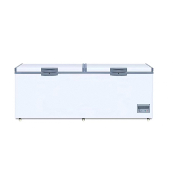 1000 Liters Large-capacity Double Doors Chest Freezer