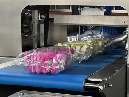 Automatic Horizontal Packaging Machine for Buns, Bread, Donuts and Bakery Products