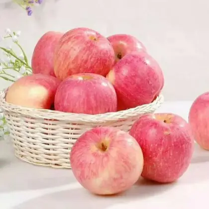 Paper Bagged Sweet Soft Qinguan Apples Fruits