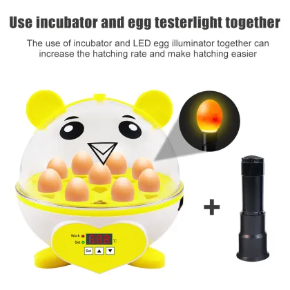 Huatuo Newest 9-Egg Capacity Incubator for Chicken Hatching