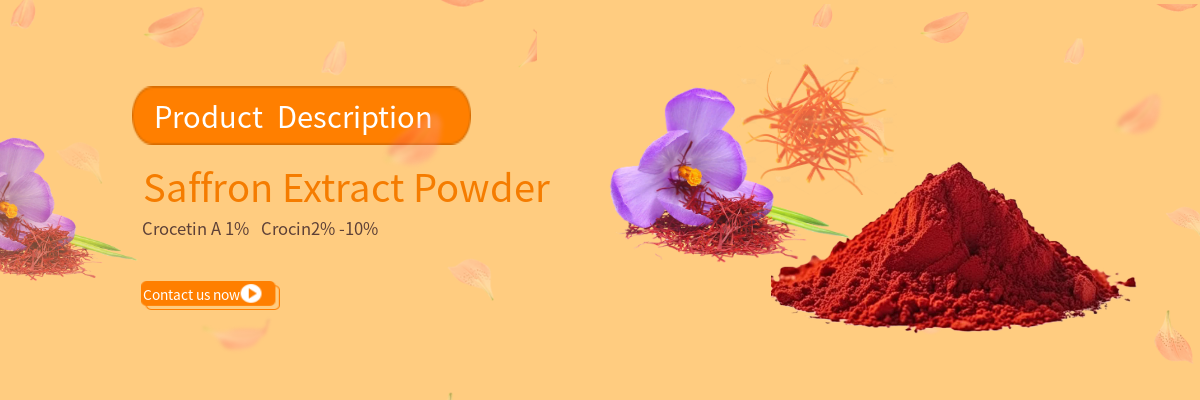 Saffron Extract Powder
