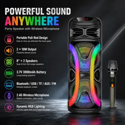 Portable Trolley Karaoke Speaker
