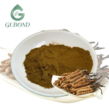 Cordyceps Extract 50% Polysaccharide Powder