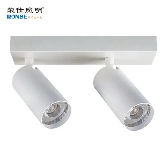 RONSE 230V LED Down Light Suppliers - 30W Quality Surface Mounted Down Lights & Spotlights