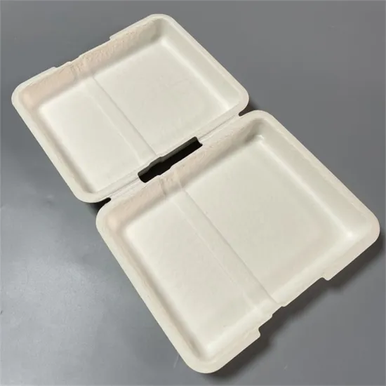 Wholesale Custom Logo Molded Paper Underwear Packaging Box