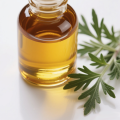 Artemisia Annua Oil 100% Steam Distilled