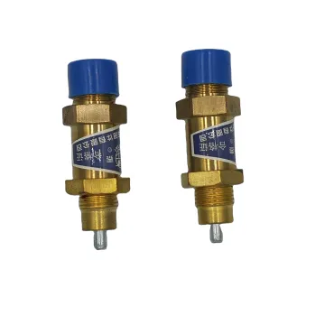High Quality Hot Selling Auto Parts Air Pressure Relief Valve 140A