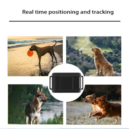 MOFESIPI Pet Dogs 4G GPS Tracker