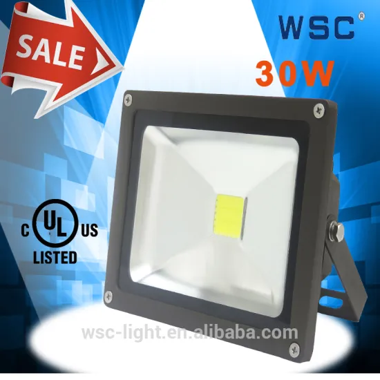 fashion bridgelux led chip 30w floodlight luminaire high intensity led flood light
