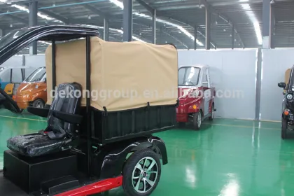new design black small electric Van car