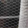 Hexagonal Wire Mesh Netting for Chicken PVC Coated