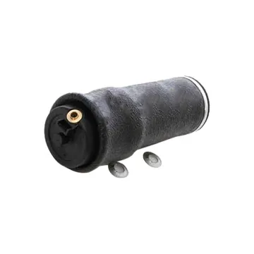 OEM Air Suspension Kits - Air Spring 2595130c91 for International Cars (W02N197197)