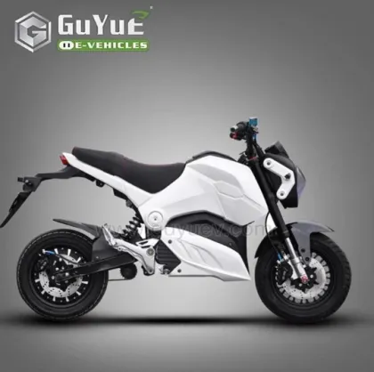 EEC Certified Electric Motorcycle