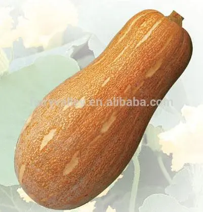 Wholesale Super delicious hybrid Pumpkin seeds chinese vegetable seeds For Growing-PS046 A